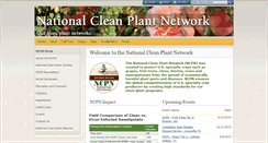 Desktop Screenshot of nationalcleanplantnetwork.org